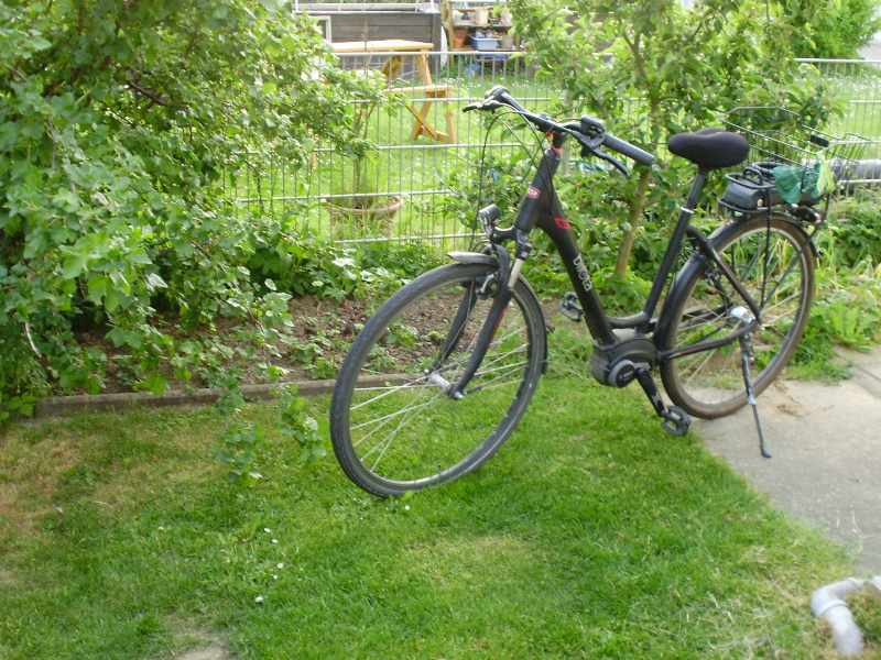 Garten Bild