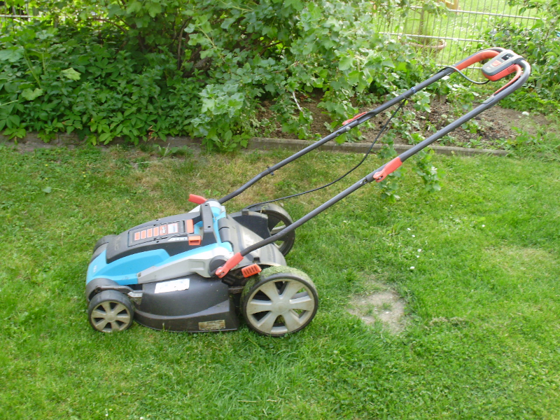 Garten Bild